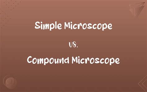 Image result for Simple Microscope and Compound
