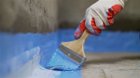 Golden Pothos: How to Grow, Care Benefits, and More