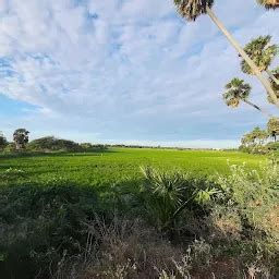 Peikulam - Tourist attraction - Thoothukudi - Tamil Nadu | Yappe.in
