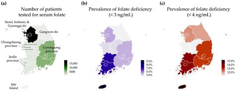 Nutrients | Free Full-Text | The Utilization of Serum Folate and Homocysteine Tests and the ...