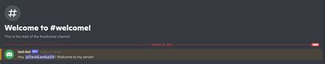 Image result for Discord JS How to Create a Basic Command