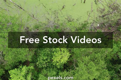 Environment Animated 的图像结果