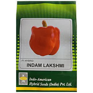 Buy Indo American Hybrid Seeds (India) Pvt. Ltd. Capsicum Seeds ...