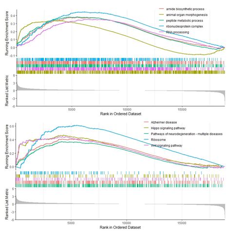 Bioinformatics Analysis of LGR4 in Colon Adenocarcinoma as Potential ...