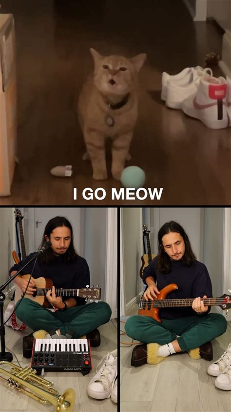 I Go Meow (Singing Cat Ballad) - YouTube