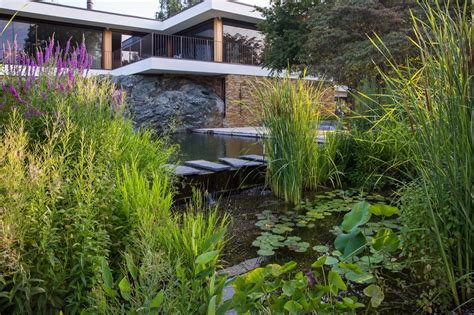 River Pool 的图像结果