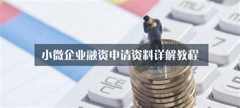 2021年中国中小微企业融资发展报告_澎湃新闻-The Paper