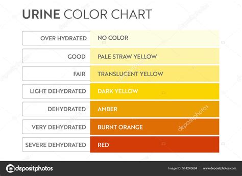 Urine color chart . Stock Vector Image by ©Kandella #514245684