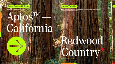 Microsoft Office now has a new default font, Aptos, that will replace Calibri - SkinPack