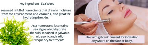 Indrani Sea Weed Jelly 300g : Amazon.in: Beauty