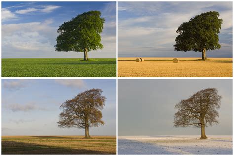 Seasonality: The Archaeology of Changing Seasons