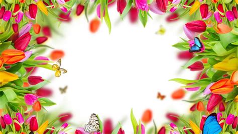 Colorful Spring Desktop Wallpaper 的图像结果