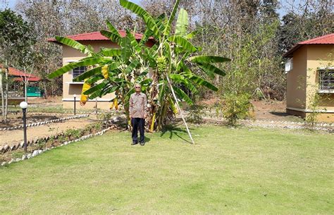 SRUSHTI JUNGLE HOMES (Sillari) - Cottage Reviews & Photos - Tripadvisor
