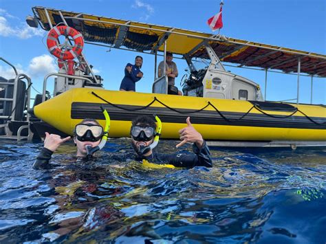 Best Maui Snorkeling Spots: Top Snorkeler Guide - Maui Snorkel Charters