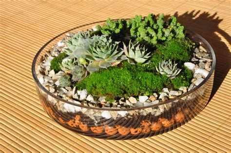 Plant Terrarium Basics. : 5 Steps (with Pictures) - Instructables