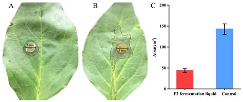 Antagonistic and Plant Growth-Promoting Properties of Streptomyces F2 ...