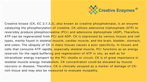 Creatine Phosphokinase - Creative Enzymes | PDF