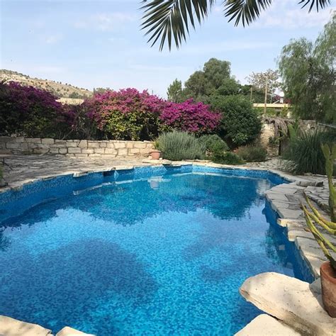 BOUGAINVILLEA GUESTHOUSE (Larnaca) - B&B Reviews & Photos - Tripadvisor