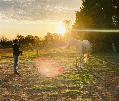 Trail Course Clinic using horsemanship through Connection ., Nash Horse ...