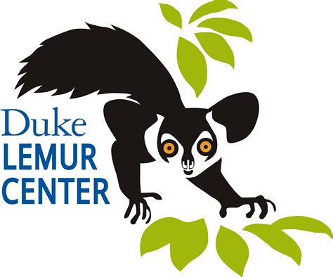 Protected: Adopt Portal – Aye-aye - Duke Lemur Center