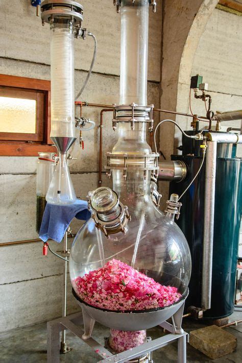 aromatherapy training