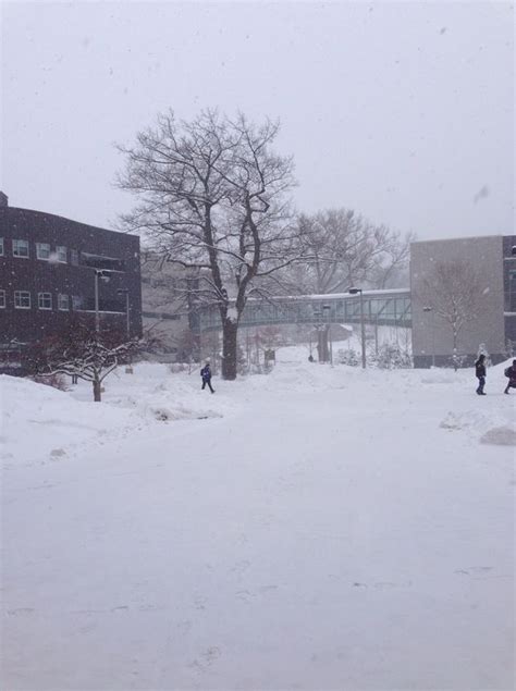 Michigan Technological University Office Photos