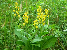 Image result for Python Variables Book