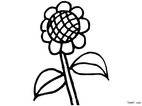画花的简笔画高清图片，画花的画法_植物简笔画_ertongzy.com