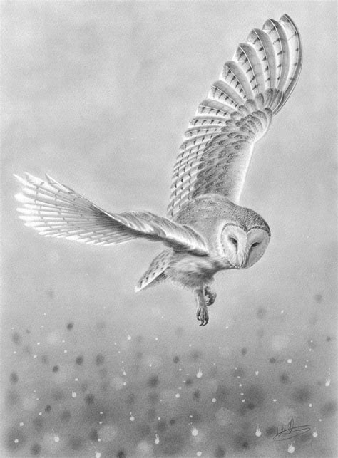 Flying Owl Drawing Barn