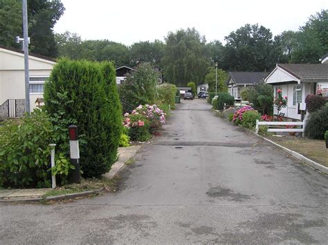 Town Script Pastebin 的图像结果