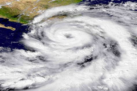 Hurricane Preparation Guide | Professional Health Care of Pinellas