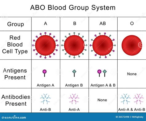 What Antigens Are Present In A+ Blood at David McKnight blog