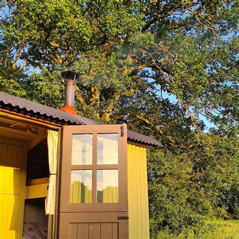 GLAMPING AT WALLOPS WOOD (Hambledon) - Guesthouse Reviews & Photos ...