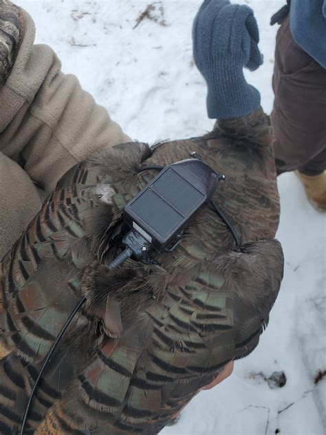 Jan. 9 Iowa Outdoors