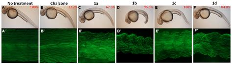 Toxicity Assessments of Chalcone and Some Synthetic Chalcone Analogues ...