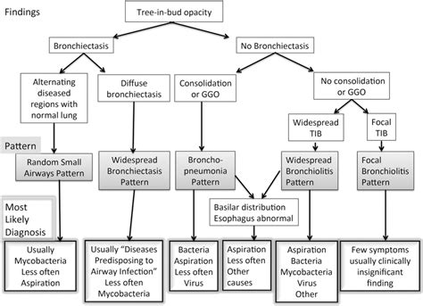 Causes and Imaging Patterns of Tree-in-Bud Opacities - CHEST