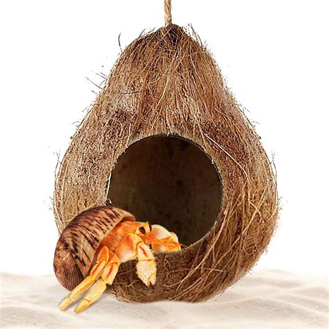 Buy SunGrow Hermit Crab Hut Cozy Crabitat Coconut Shell with Hanging ...