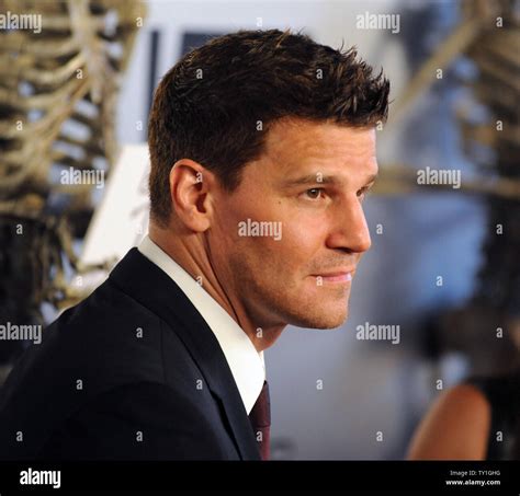 David Boreanaz Booth