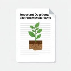 Important Questions Life Processes in Plants - Science (Curiosity) Class