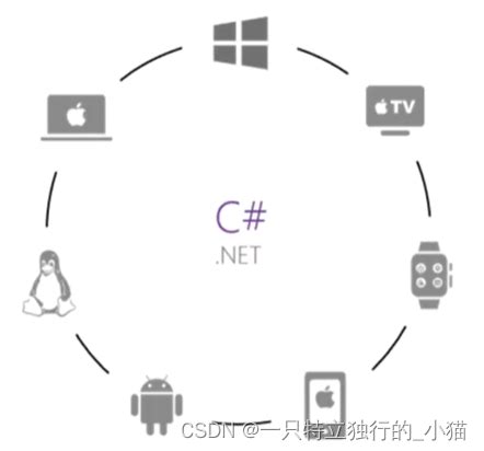 ASP.NET C 的图像结果