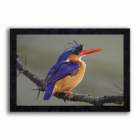 pnf Birds with Wooden Synthetic Frame Painting with Acrylic Sheet ...