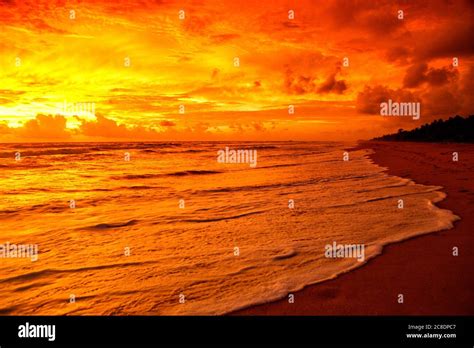 PowerPoint Tutorials for Design 的图像结果