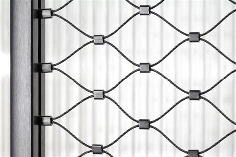 WebNet 的图像结果