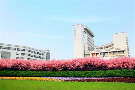 上海最好大学排名第一，上海最好的15所大学