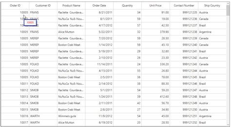 Image result for Forms DataGrid