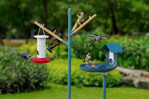 Bird Buddy Mangeoire intelligente pour colibris et bain d'oiseaux | Uncrate