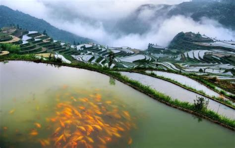 青田砚 - 林琮然 - 餐厅设计,办公室设计,别墅装饰,装修公司-聚设汇装修平台