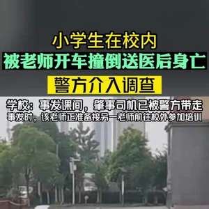 武汉6岁小学生校园内被撞死，10天后母亲跳楼自杀，其父疑似正在抢救，原因疑似曝光_腾讯新闻