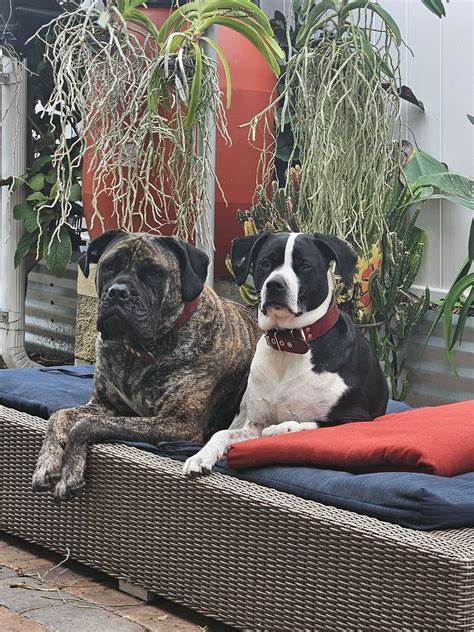 Meet the Providers - East Lake Pediatrics