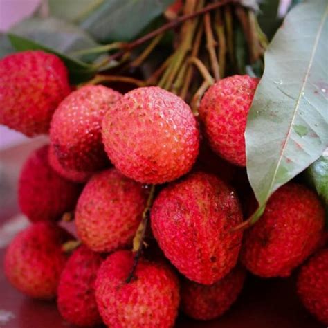 Diabetes Control: 7 high-sugar fruits you should avoid to keep blood ...
